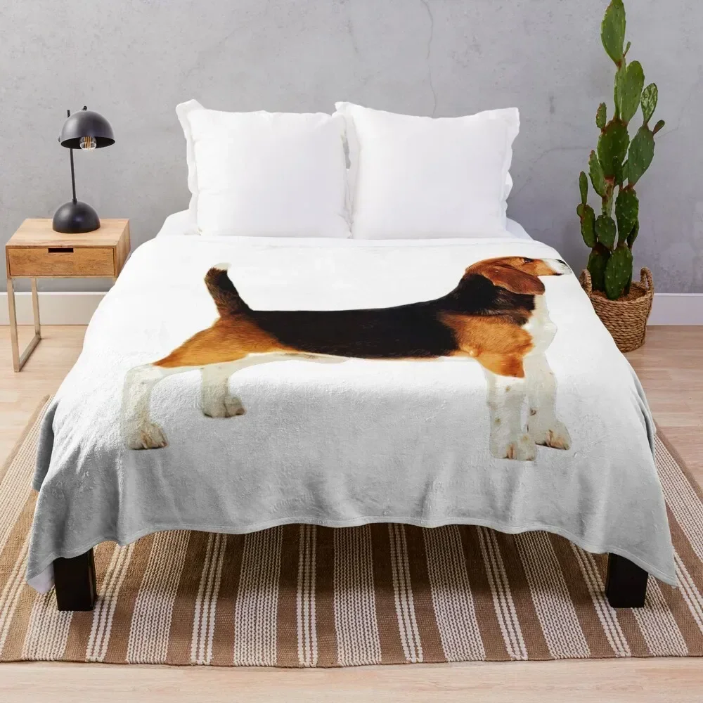 

Cute Stacked Beagle Throw Blanket Blankets Sofas Of Decoration Polar Blankets