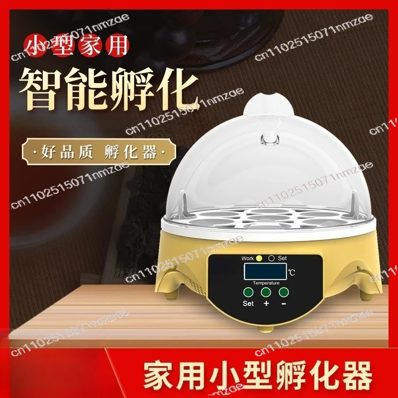 

7-яйцо домашний мини-автоматический инкубатор для яиц, умный инкубатор для курицы, автоматический контроль температуры, переворотщик яиц