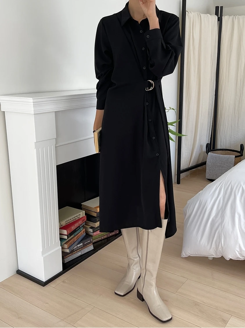 REALEFT Elegant Irregular Women's A-line Dresses 2025 New Long Sleeve Single Breasted Lace-up Casual Loose Shirts Dress Female