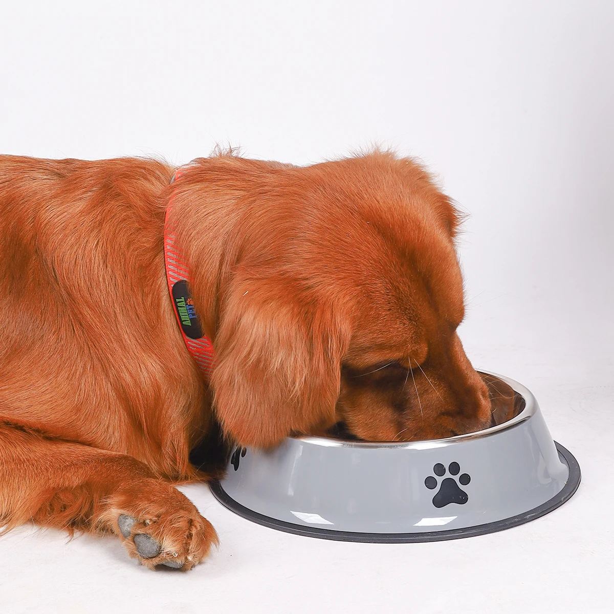 1PC Stainless Steel Pet Bowl Cat Bowl Dog Food Bowl Multi-Specification Anti-fall Food Bowl Food Bowl Feeding Pet Supplies