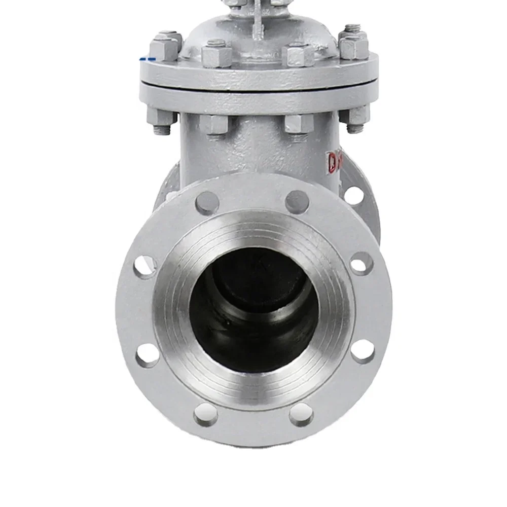 

TLF DKV Explosion Proof Motorized Gate Valve Carbon Steel WCB Flanged Motor Operated Gate Valve