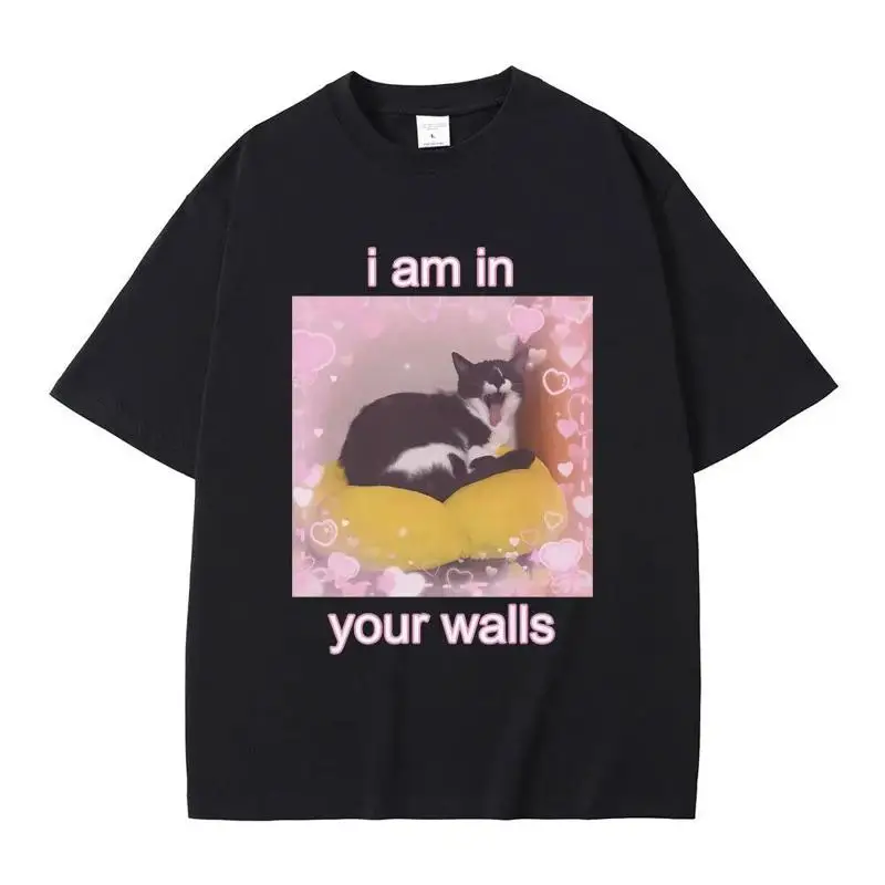 I Am In Your Walls …