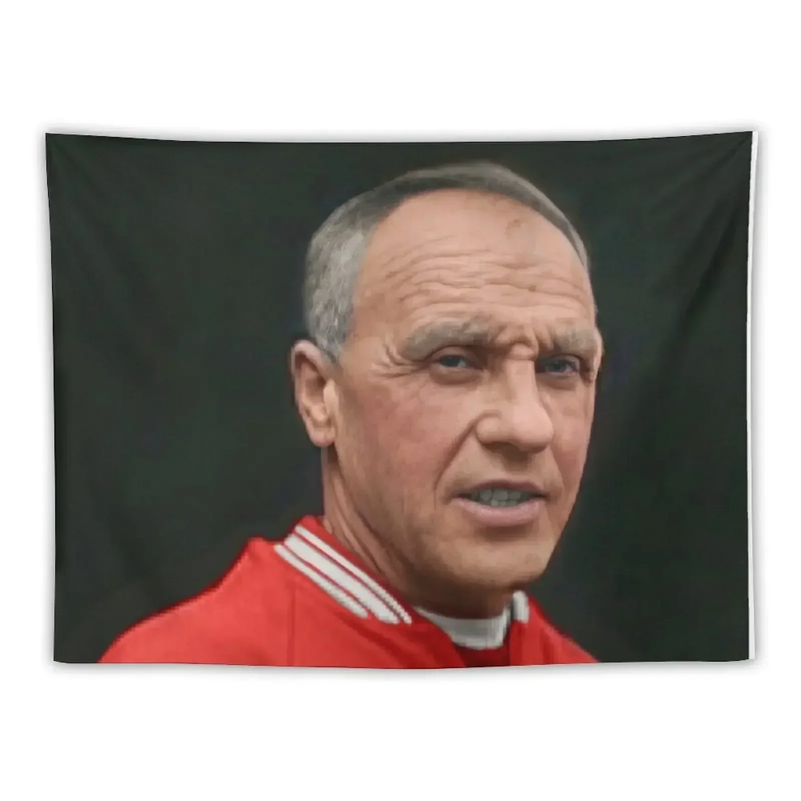 Mr Shankly colour Tapestry Room Decorations Aesthetic Outdoor Decoration Room Ornaments Room Aesthetic Decor Tapestry