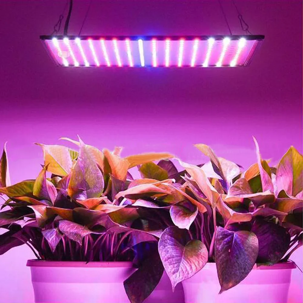 Led plantengroeilicht bloemkassen, vlezig tentlicht 1000W plantenvullicht
