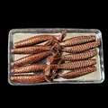 GD77 10PCS 02