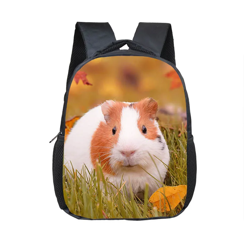 Cute Guinea Pig Mochila para meninos e meninas, mamífero Cavy Print mochilas escolares, 16 Polegada grande capacidade, mochila de viagem esportiva, Kids Gift