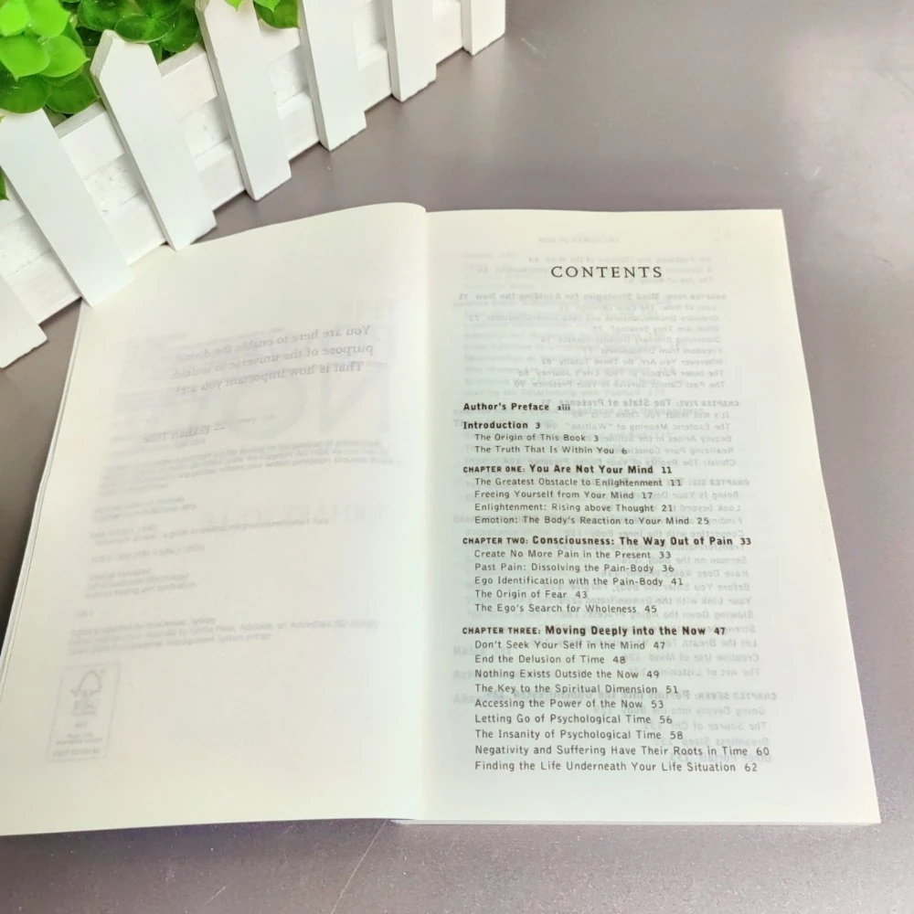 قوة الآن: كتاب فلسفي لفهم معنى وجود اللحظة الحالية والعثور على السلام الداخلي