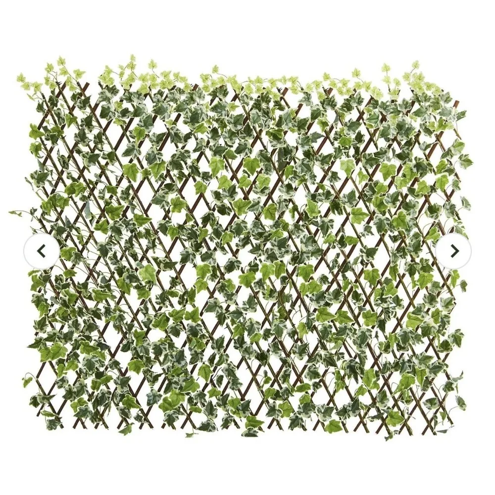 39" English Ivy Exp…