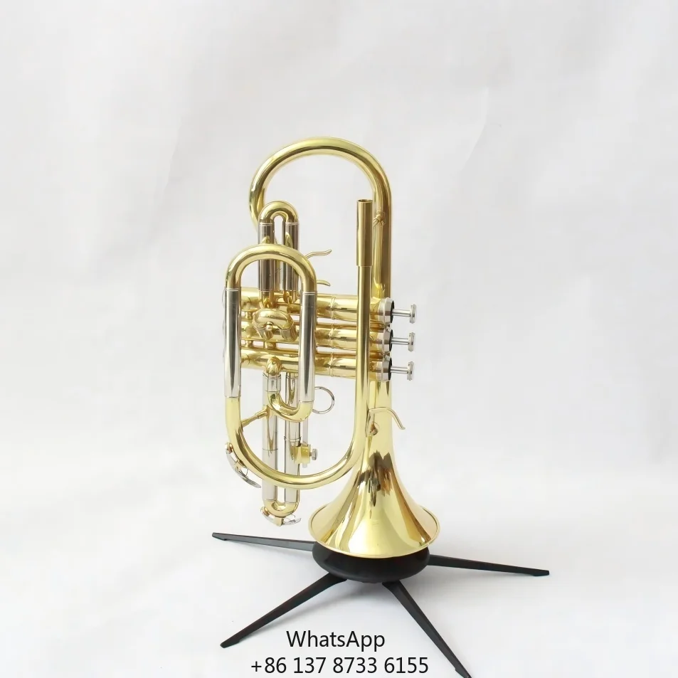 

Brass Cornet Gold Lacquered Cornet Bb Tone Brass Instrument Cornet With Case