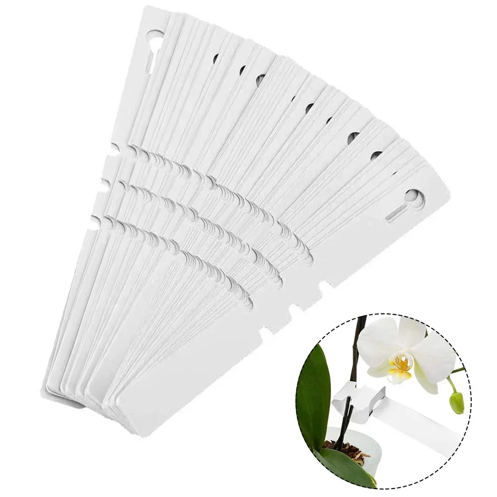 

Tags Plant Labels Tray Vegetable Waterproof White 200pcs Bonsai Flower Home Marker Nursey Plastic Plate Garden