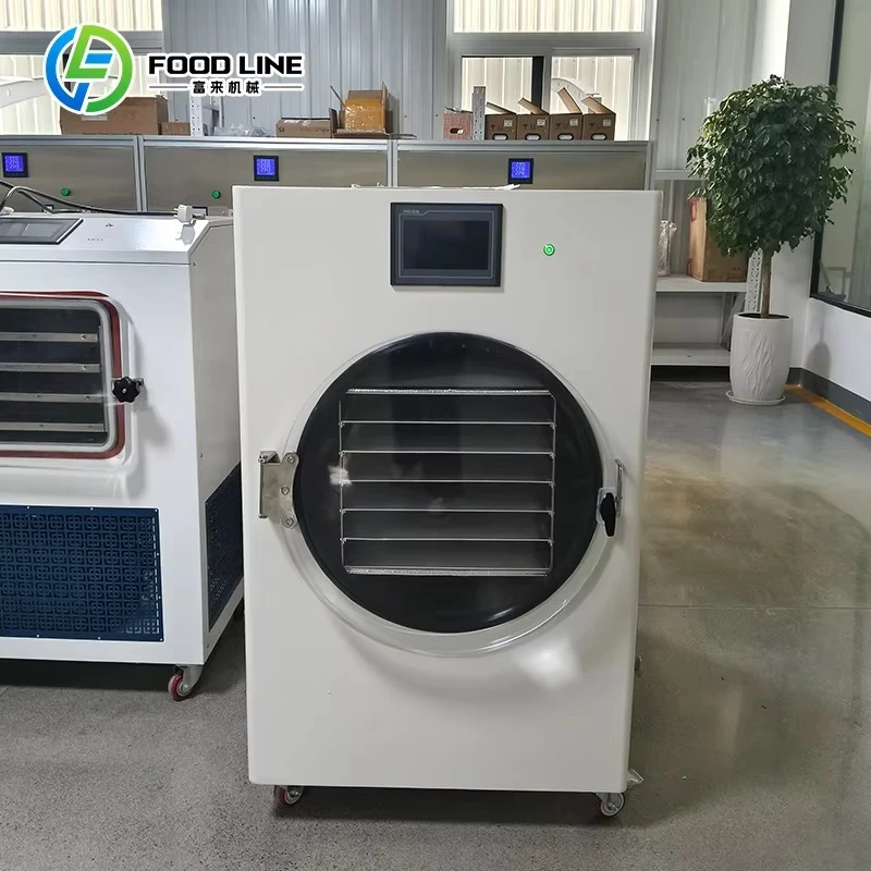 

Customized Freeze Dryer For Pharmaceutical Industry High Standard Vacuum Lyophilizer For Medicine Biological Products