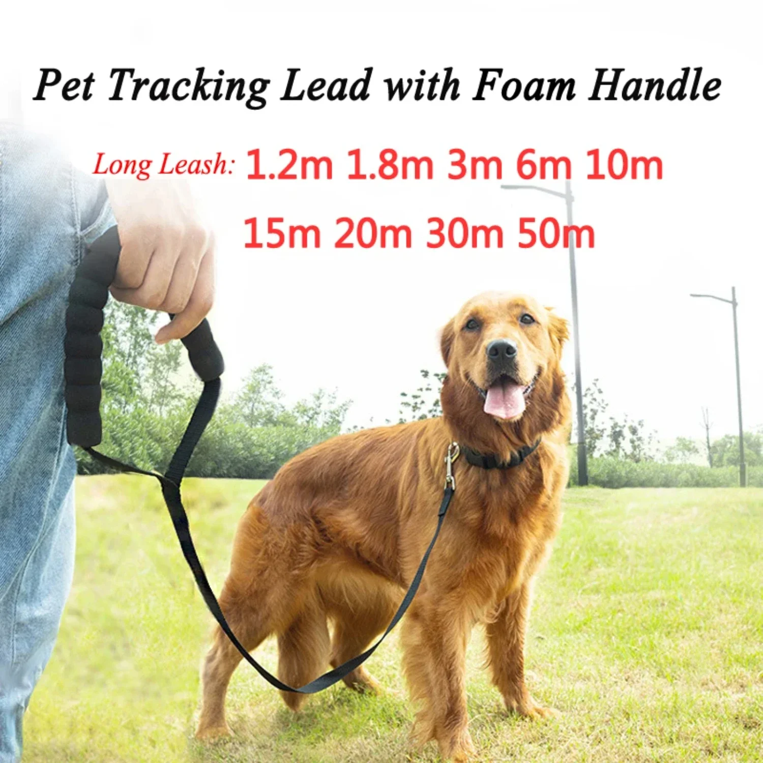 Choose from 10m, 15m, 20m, and 30m Length Options to Suit Your Needs - High-Quality, Durable Reversible Tracking Rope Leash for