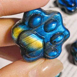 1PC Natural Labradorite Cat's Paw,Double Sided Reflection Ultrastrong Light,Home Decoration,Crystal Heal,Reiki Heal,Labradorite