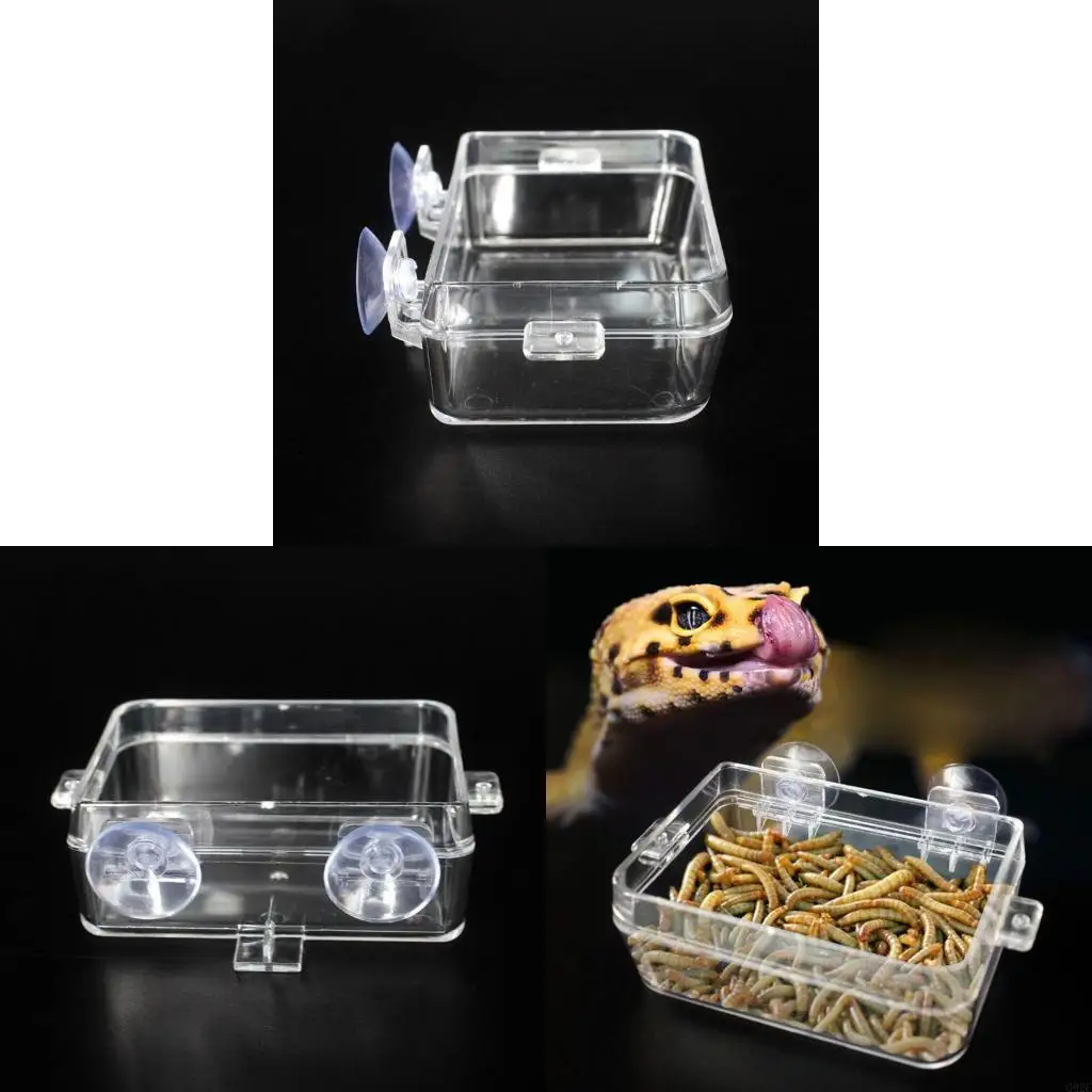 G92C Suction Cup Feeder Anti-Escape Reptiles Water Bowl Worm Live Fodder Container for Gecko Snakes Iguanas