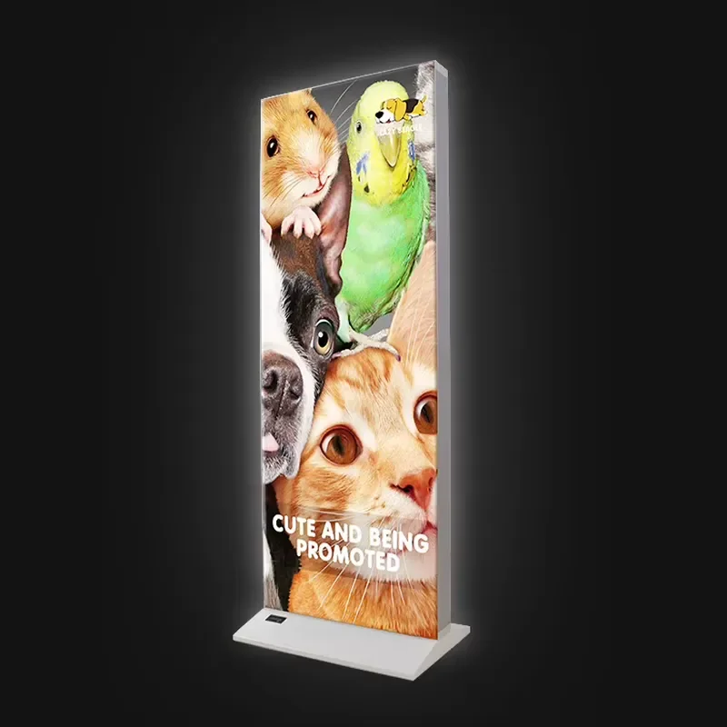 Led Rechargeable Seg Light Box Display Light Box Light Box Advertising Outdoor Exhibition Stall