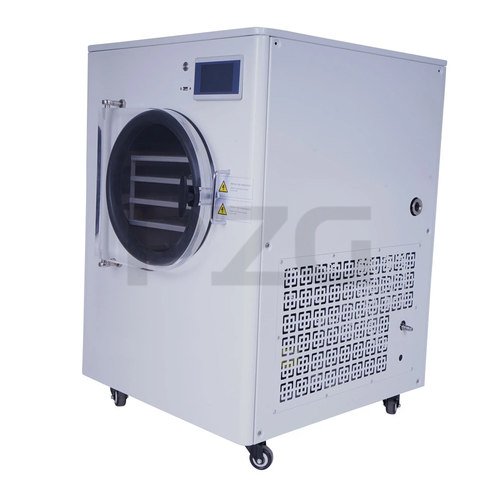 Vacuum Fruit Freeze Drying Dried Machines Mini Vegetables Lyophilizer Food Freezer Dryer