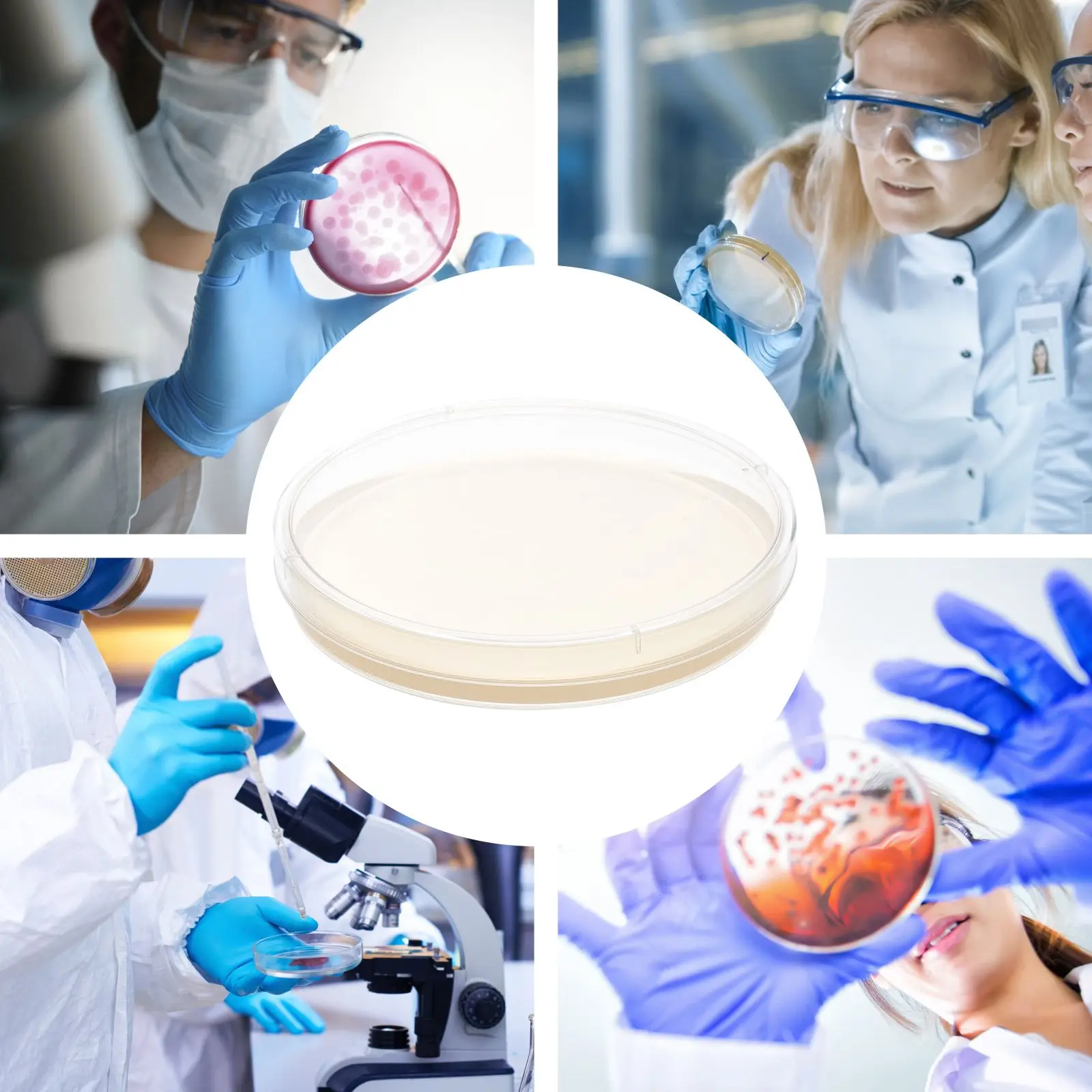 10 Pcs Nutrient Agar Plates 9cm Pre Poured TSA Laboratory Medium Petri Plates Microbiology Culture Isolation Science Fair Kit