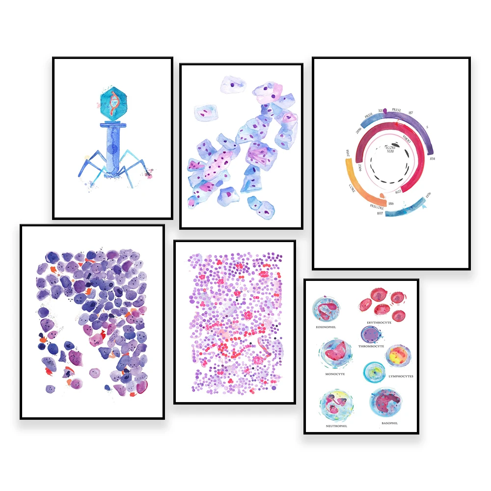 Blood Cell Art, Erythrocytes, Granulocytes, Medical Laboratory Art, Hematologist Gift, Science Art, Med Tech Gift, Biology