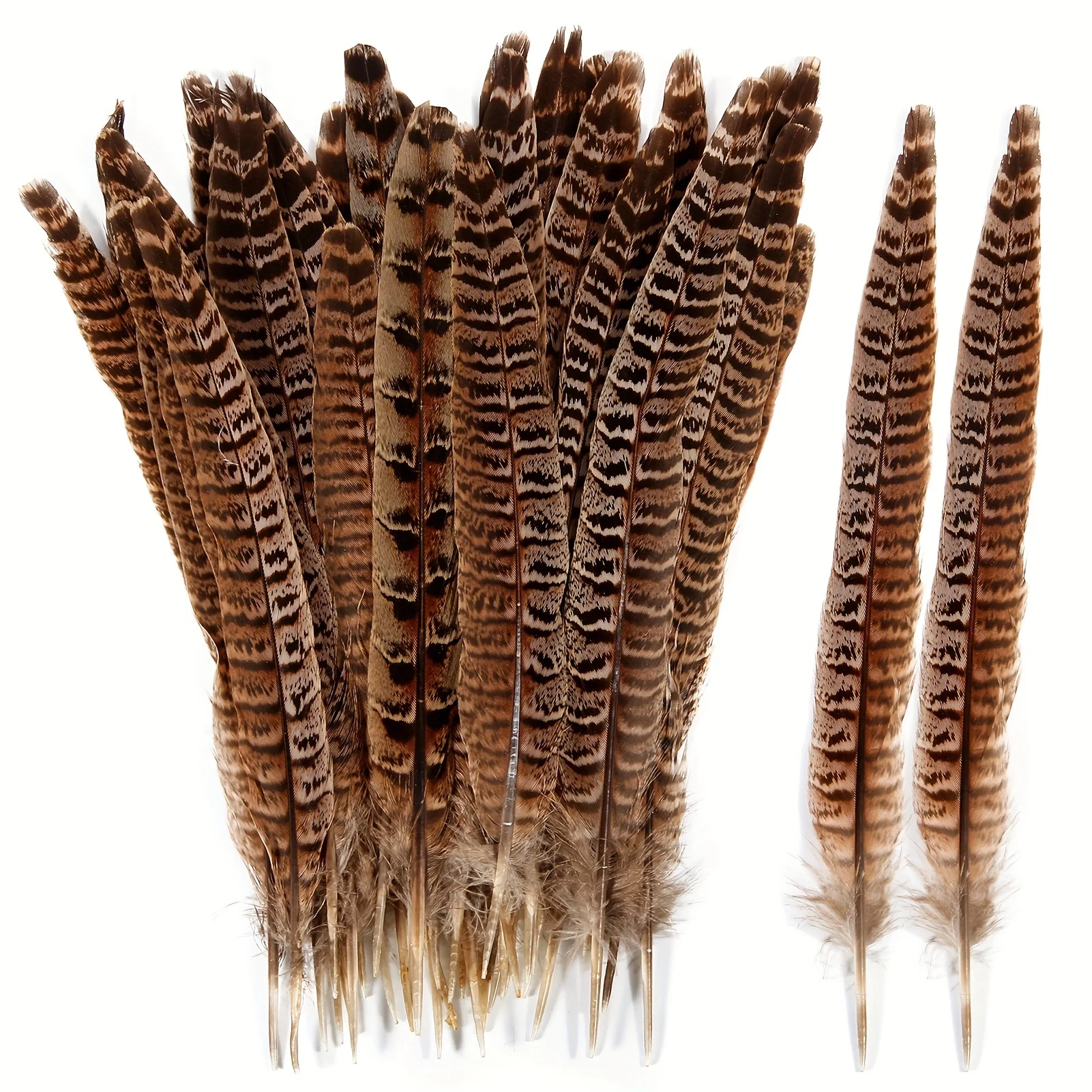 10 adet kadın sülün kuyruk tüyleri, el sanatları için Ideal, ev dekor, düğün, performansları, DIY projeleri