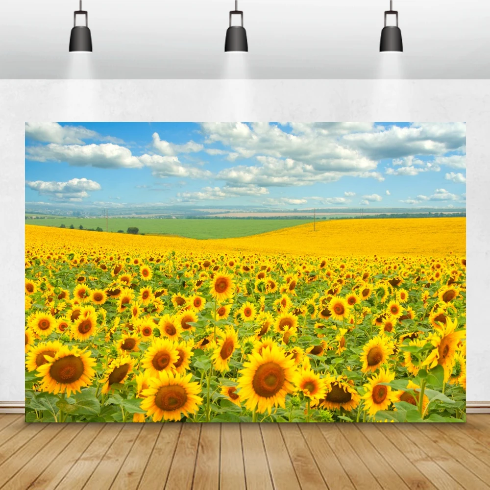 Laeacco Blue Sky Clouds Yellow Sunflowers Backdrops For Photography Field Natual Landscape Scenery Photo Background Photo Studio