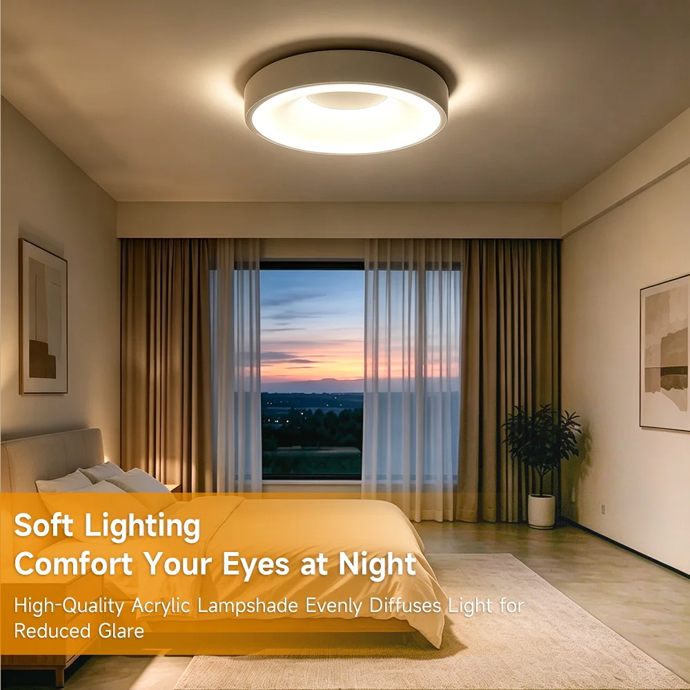 Iron Frame LED Ceiling Light Remote Control 3 Colors Indoor Bedroom Lighting Fixture for Home Kitchen Dimmable Ceiling Lamp 220