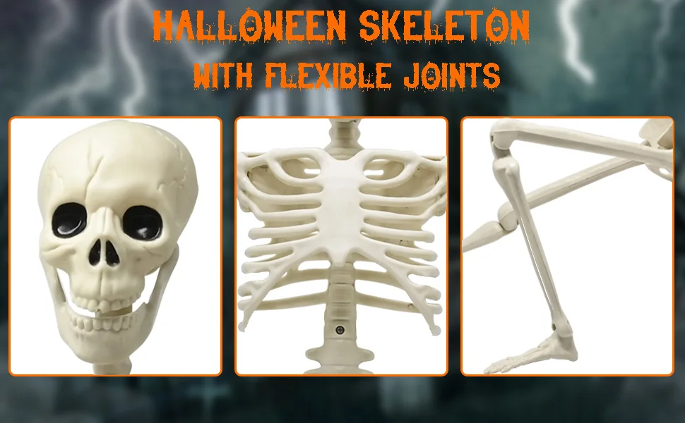 Halloween Menschliches Skelett 90CM-240CM Bewegliches Skelett Menschliches Skelett Halloween Horror Dekoration Spukhaus Horror Requisiten – Detail 2