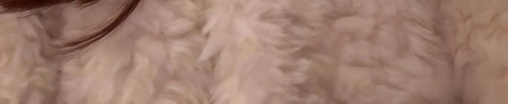 Women Faux Shearling Fur Coats Solid Fur Jackets Cotton Linen Stand Collar Long Sleeves Single Breasted Loose Casual 2026 Winter