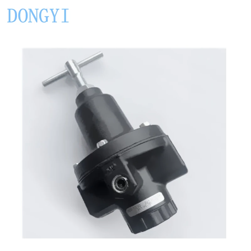 High Flow Pressure Regulator 20AG 20AG-X4G-PD100 20AG-X4G-PH100 20AG-X4G-PJ100