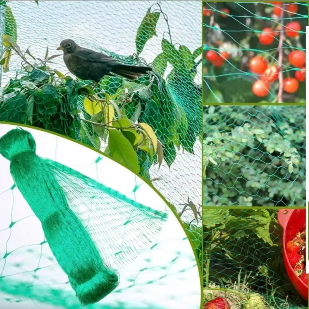 Protect Plants and Fruit Bird Protection Net Green Reusable Anti Bird Netting Pest Control Supplies Best Stretch Fence