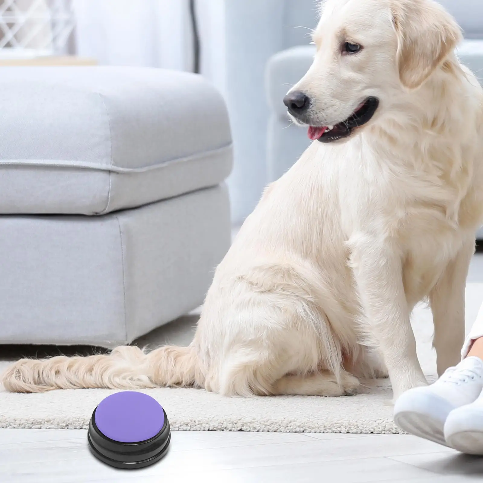 Recordable Sound Button Dog Interactive Toy Educational Toy Recorder Playback Cat Voice Recording Button for Kids Learning