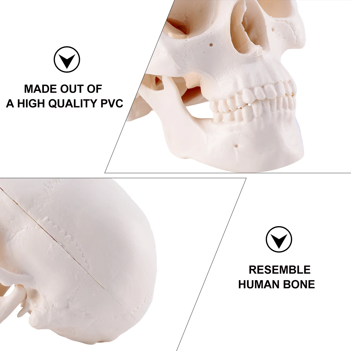 

Halloween Skull Decor PVC Realistic Horror Head Gothic Style Party Supplies Home Office Decoration Skull Toy