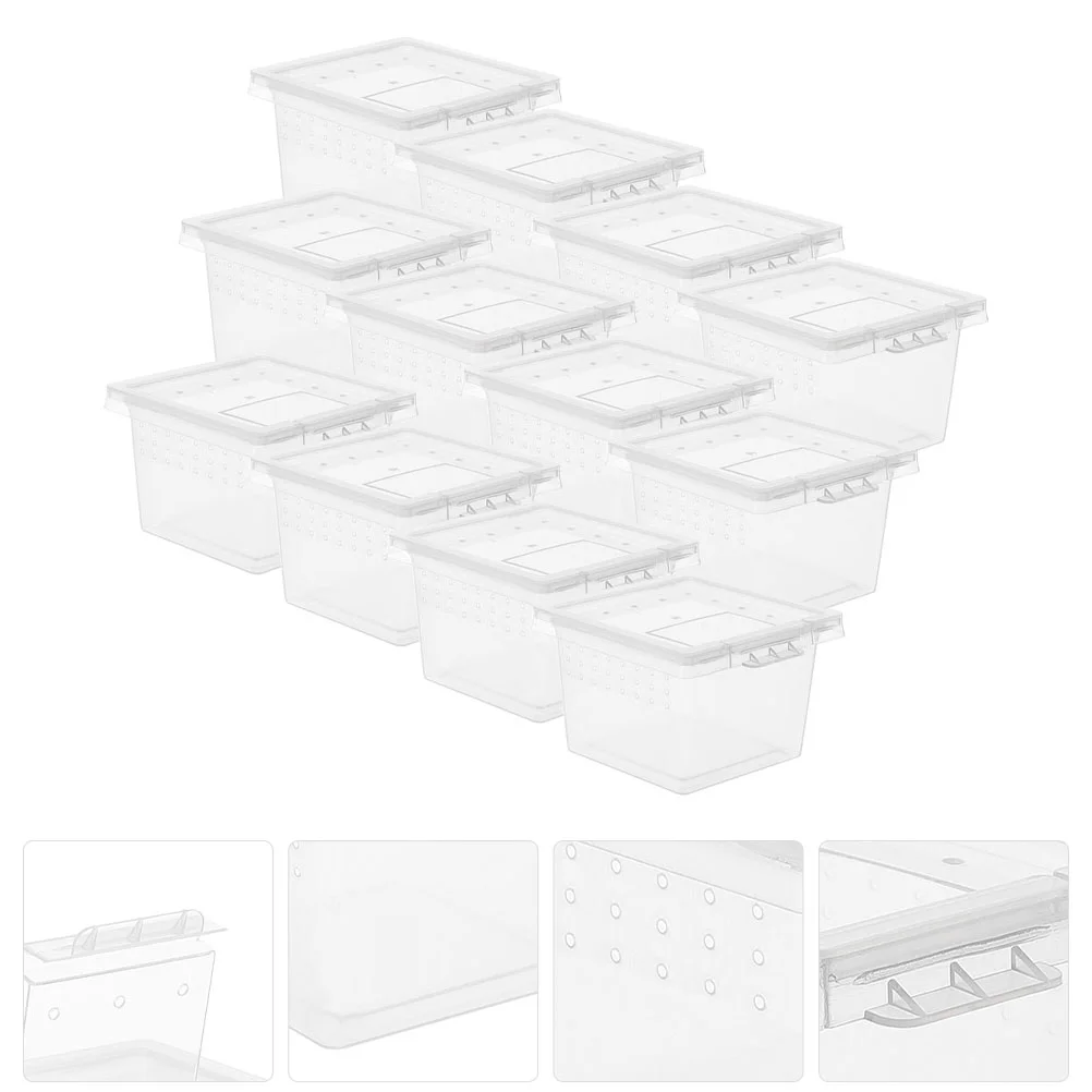 

20 Pcs Pet Feeding Box Insect Incubator Animal Reptile Holder Cage Lizard Enclosure Praying Mantis Container Scorpion