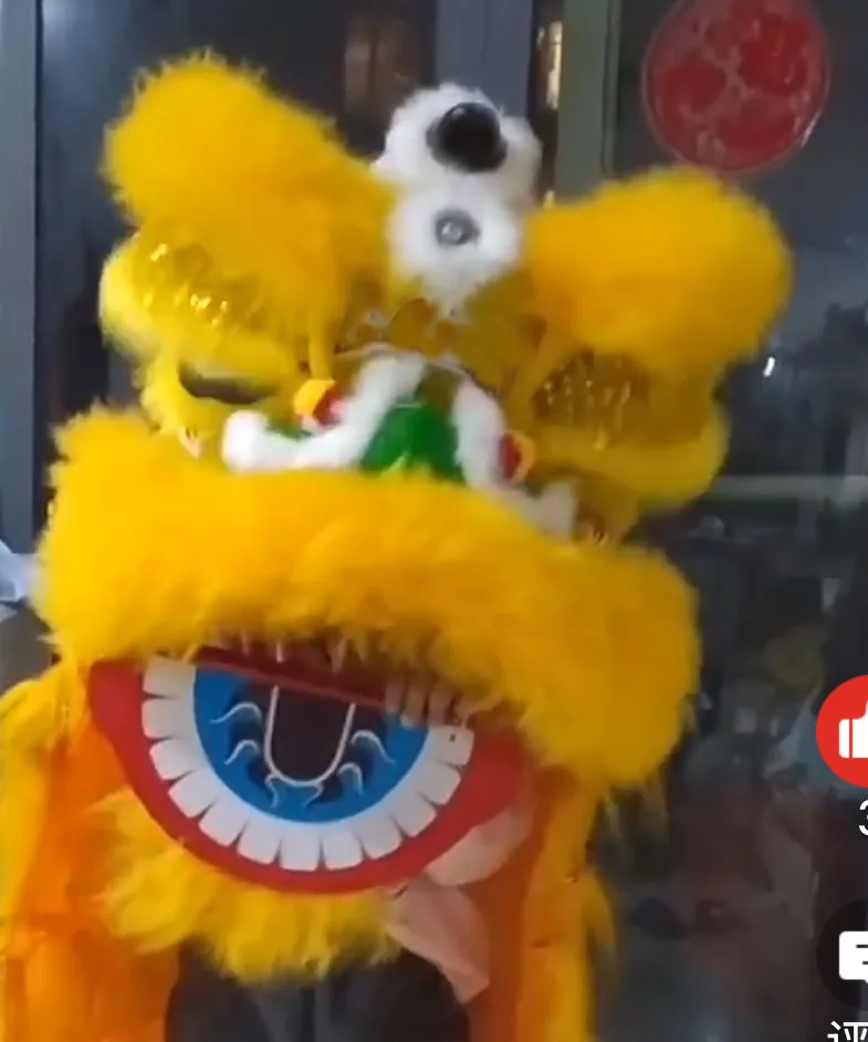 

Wink Toy kid Party 2-5 Age Lion Dance Costume Drum Gong Fashion Props Child Performance Sport Outdoor Parade Stage Mascot China