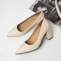 High Heels Women New Korean Style Pointed Shallow Mouth Thick Heel Fashion Shoes Sapatos De Mujer