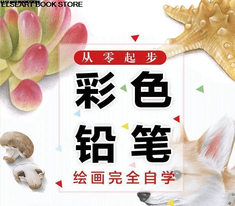 Color pencil painting mushroom conch fleshy plant strawberry painting skills book