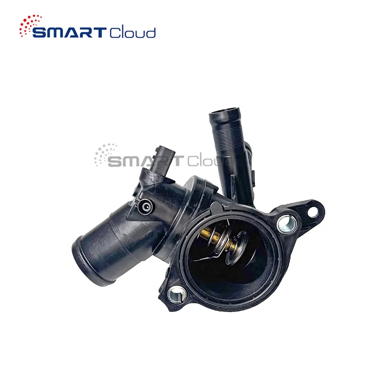 110617089R Thermostat with housing