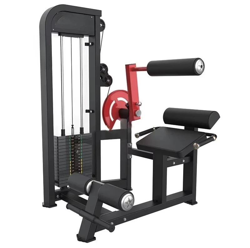 New Materials High Quality Commercial Gym Materials Strength Training Back and Abdominal Combination Fitness Equipment