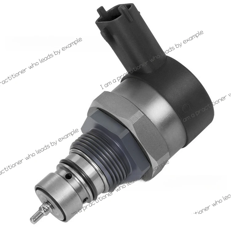 

Auto Parts Fuel Common Rail Pressure Regulating Control Valve Applicable To DRV 0281002987