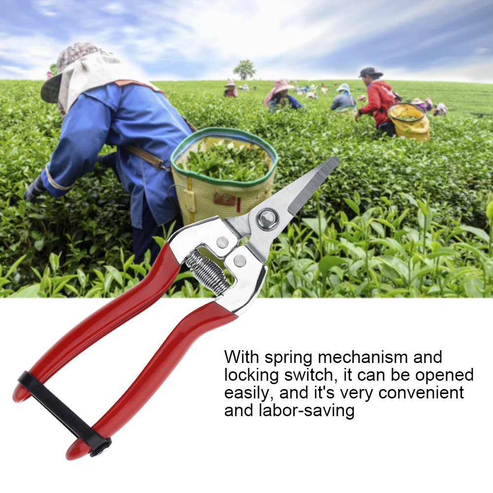 Sturdy Fruit Tree Bonsai Gardening Pruning Shear Garden Scissors Pruner Tool Fruit Scissor Garden Scissor Fruit Tree Scissor