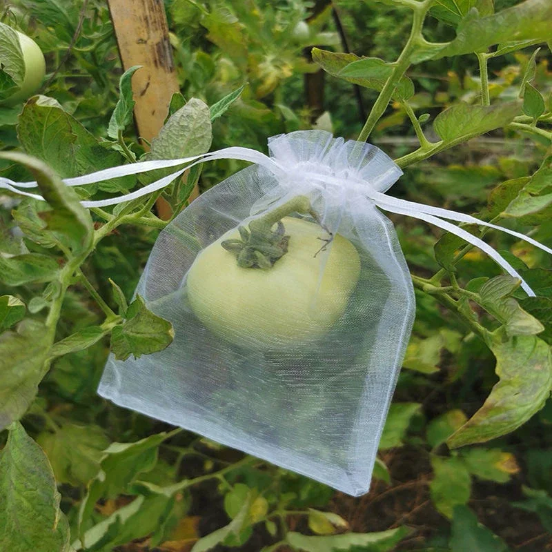 

10pcs Fruit Protection Bags Plant Grow Netting Bag With Drawstring Insect-Proof Anti-Bird Mesh Bag Gauze Pouch Vegetable Cover