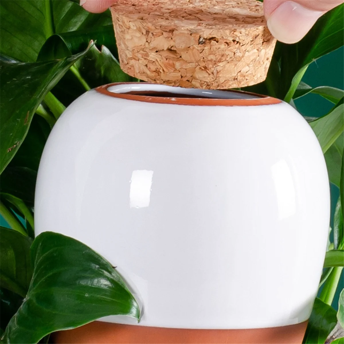 New Plant Watering Ball, Terracotta Watering Spike - Slow Release Watering Can,16 Ounces - Self Watering Spike,4pcs