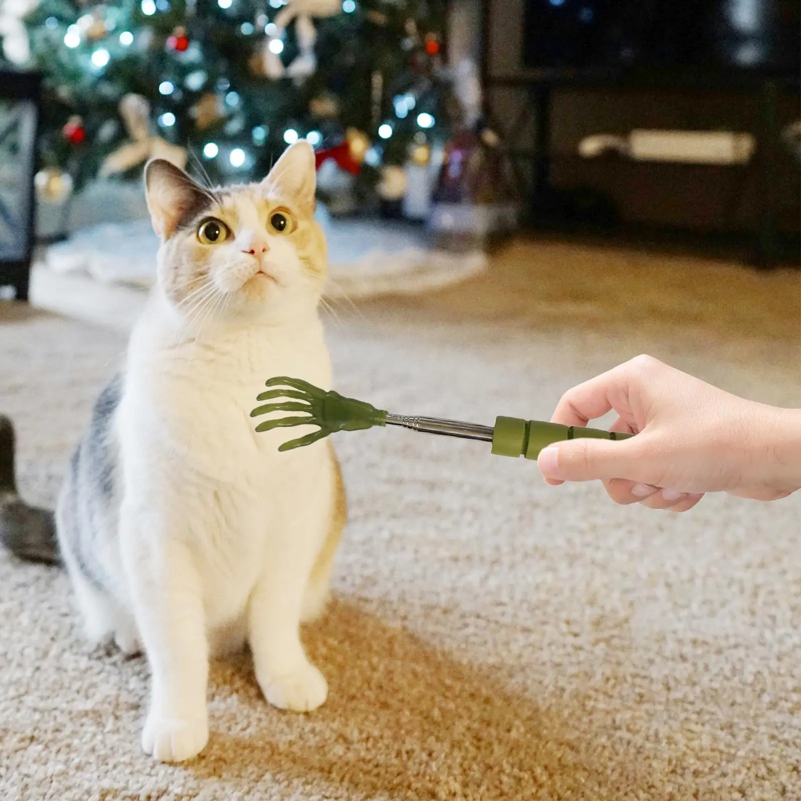 Teaser Huisdier Interactief speelgoed Intrekbaar Lichtgewicht voor katten Honden Kitten Puppy Training Spelen Kattenborstel Huisdier Flirtpaal