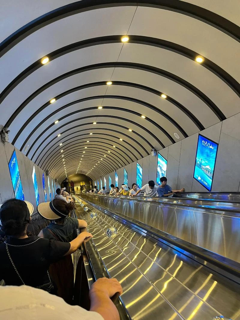 

Защитная пленка для фар автомобиля, прозрачная/дымчато-черная TPU-наклейка для Honda Civic 10-го поколения 2016-2021, аксессуары