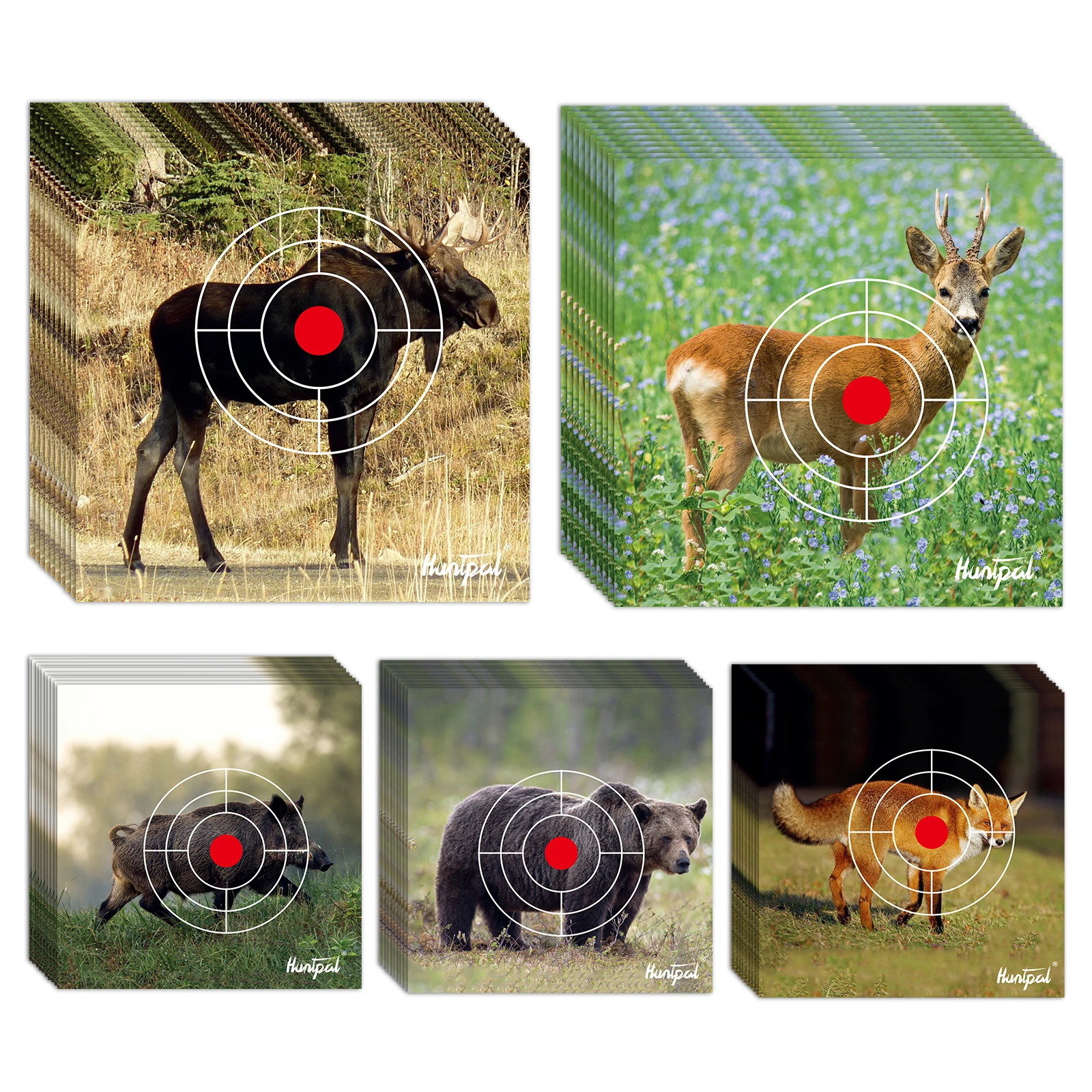 Shooting Animal Target Paper 50PCS Realistic Instant Wild Animal Shooting Targets with BB Pellet Trap for Hunting Game Practice