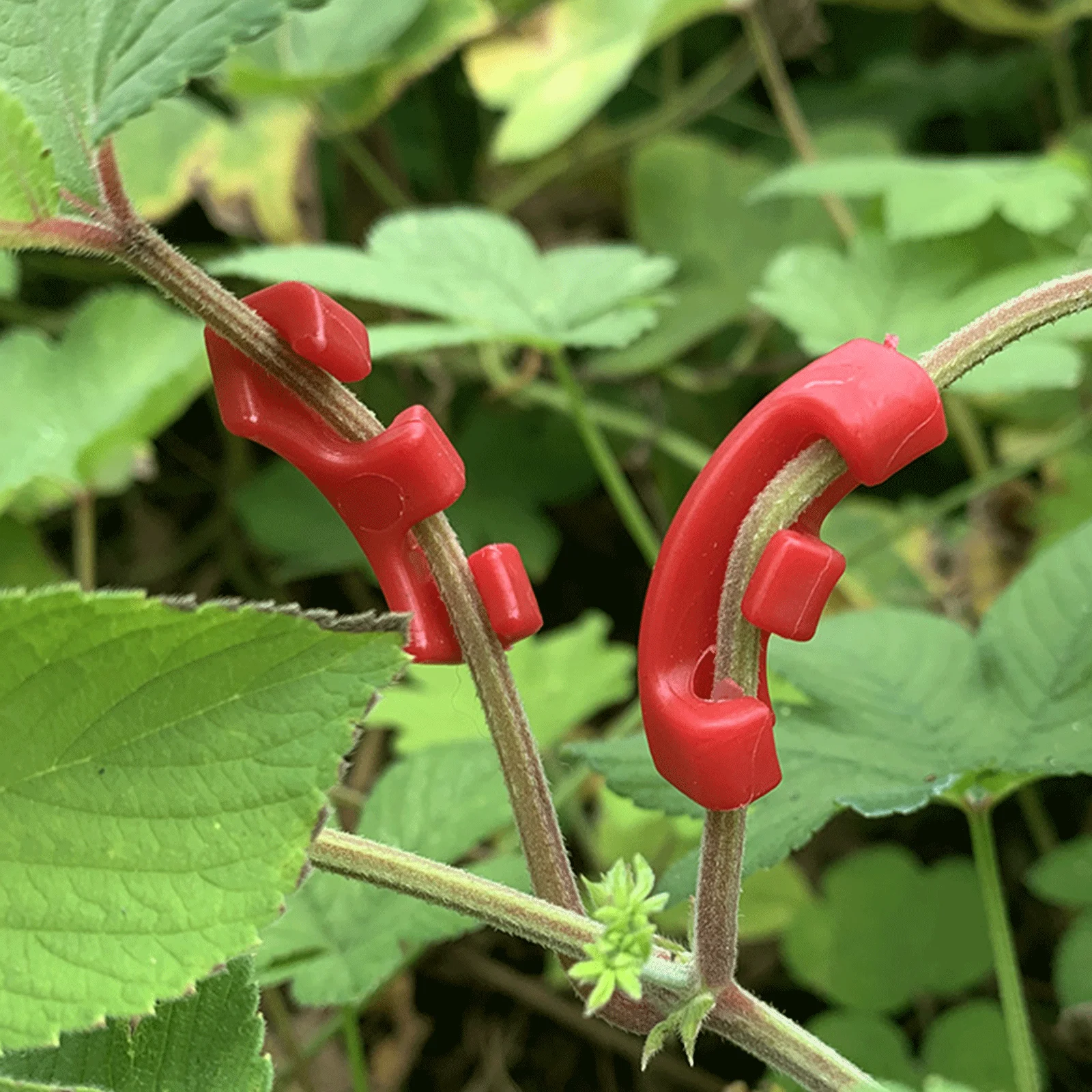 

20pcs 90 Degree Plant Benders Trainer Growth Manipulation Tutors For Plants Clips Bending Twig Clamps Branche Accessories