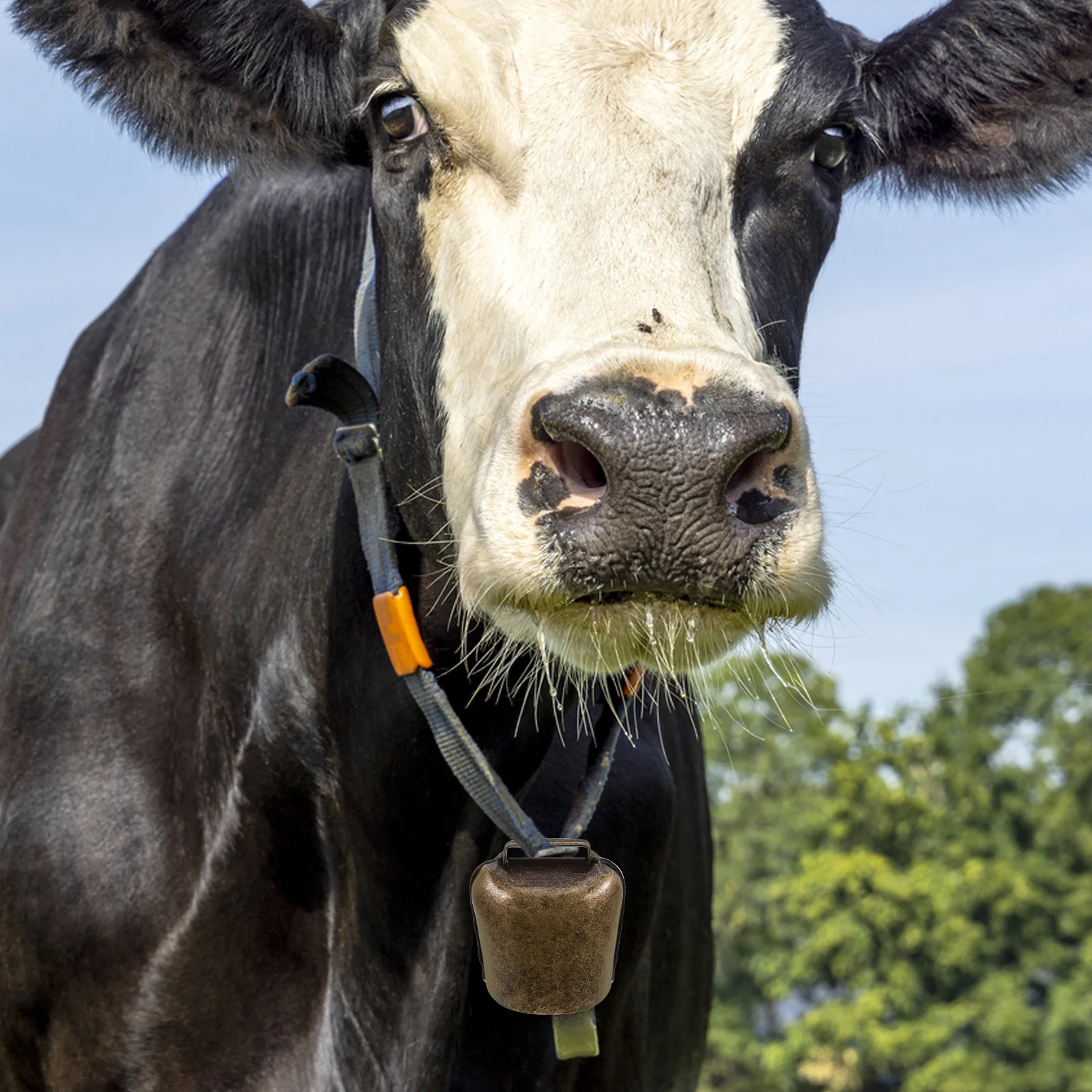 

2Pcs Small Thickened Iron Cattle Bells Anti-Lost Alarm for Sheep Cow Horse Grazing Supplies Hanging Decor Farming Accessories