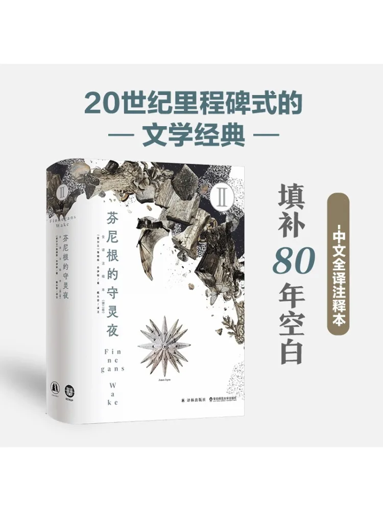 

Книга-Winshare Finigan's Wake II