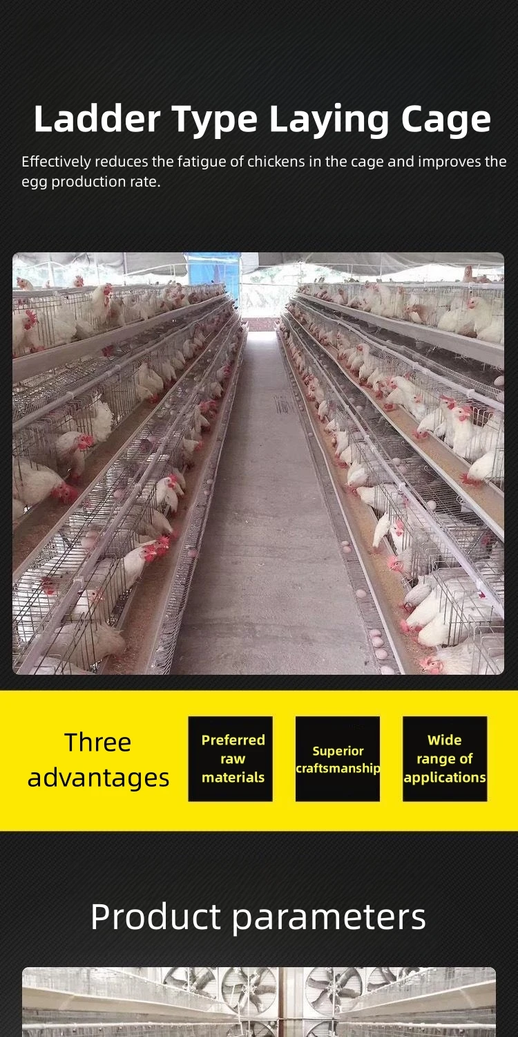 XIFA Wire Chicken Layer Cage Chicken Animal Cages For Beekeeping Equipment Mild Steel Provided Chicken Coop Customizable