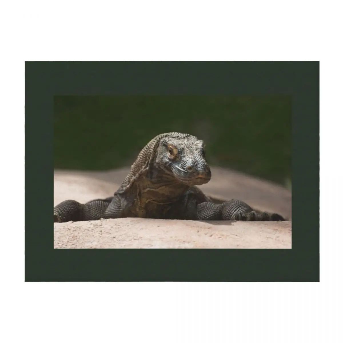 

Komodo monitor dragon Throw Blanket Sofa Quilt Multi-Purpose Bed blankets and throws Blankets