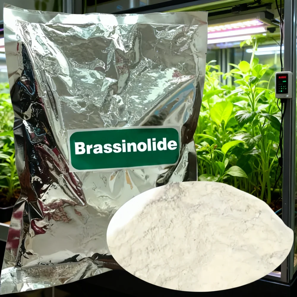 

Homobrassinolide Brassinosteroid Natural Brassinolide 0,15% SP BR Регулятор роста растений